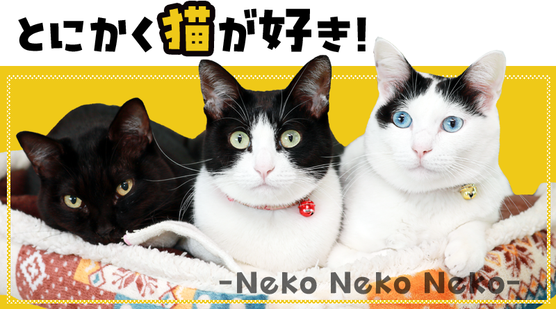 ねこねこデザイン★猫さん専門SHOP