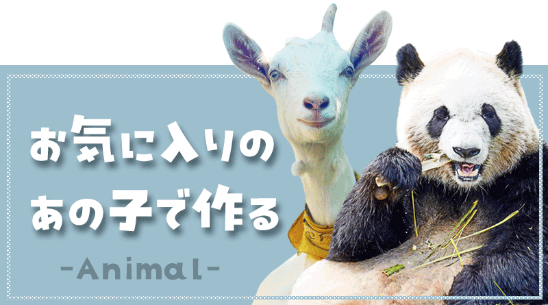 お気に入りの子で作る！