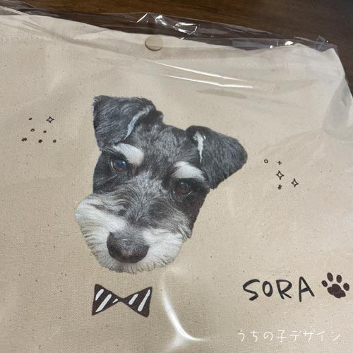 うちの子サコッシュ