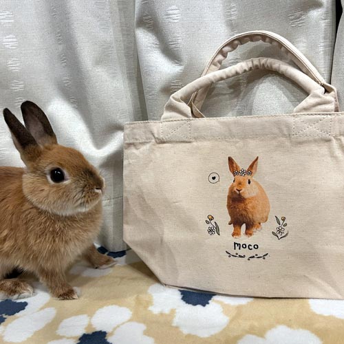 うちの子ミニトート