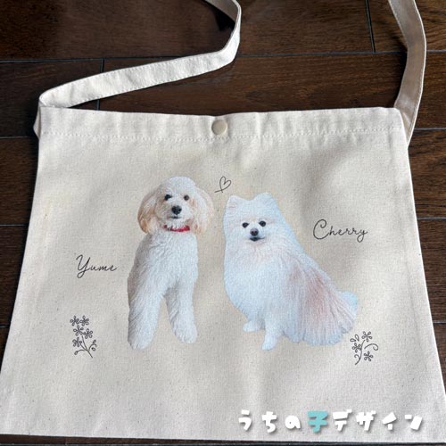 うちの子サコッシュ