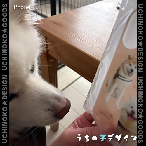 うちの子ハードケース