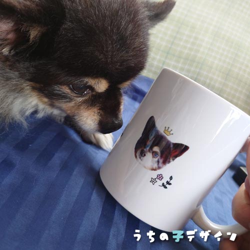 うちの子マグカップ