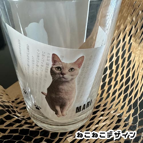 うちの子グラス