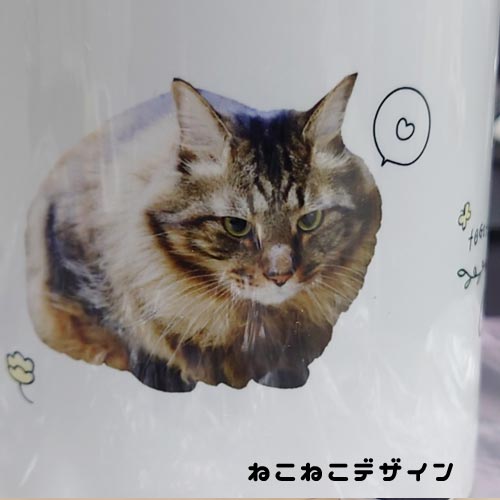 うちの子マグカップ