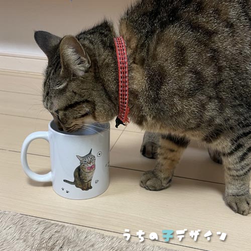 うちの子マグカップ