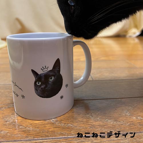 うちの子マグカップ